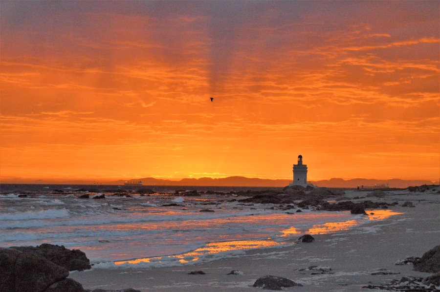0 Bedroom Property for Sale in Steenbergs Cove Western Cape